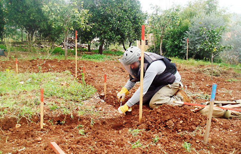 مهمة وطنية وإنسانية