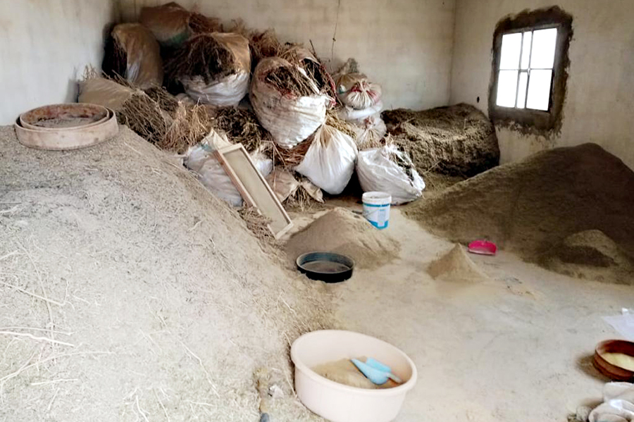 لن ندعهم يرتاحون!