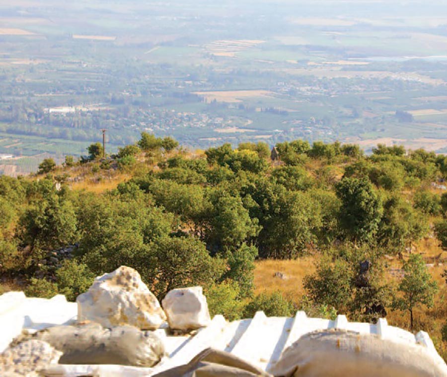 حتى آخر حبة تراب!