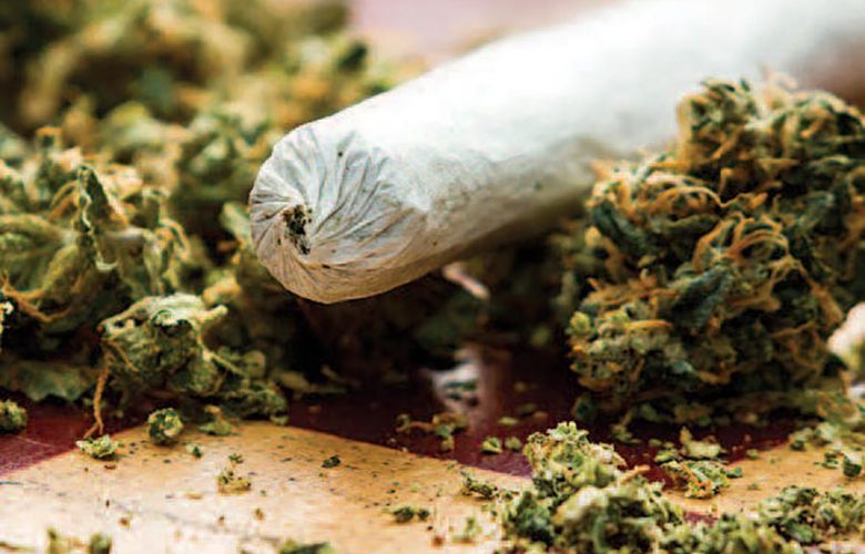 تعاطي الحشيشة بين المفاهيم الخاطئة والحقائق الصادمة