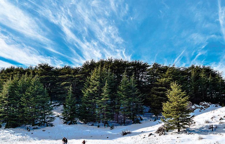 من مرمى التلج لفقش الموج: لبنان وجهة سياحية في كل الفصول