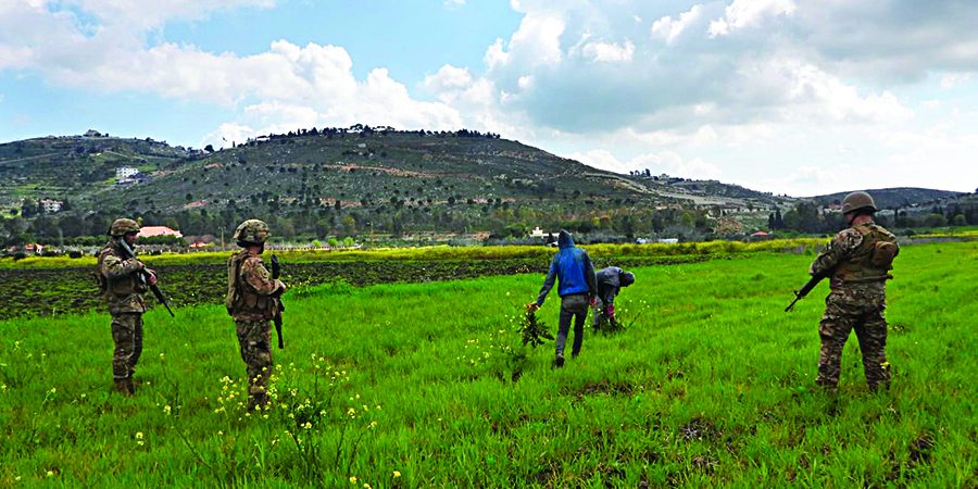 WhatsApp Image 2024-03-14 at 11.33.56 AM (1)