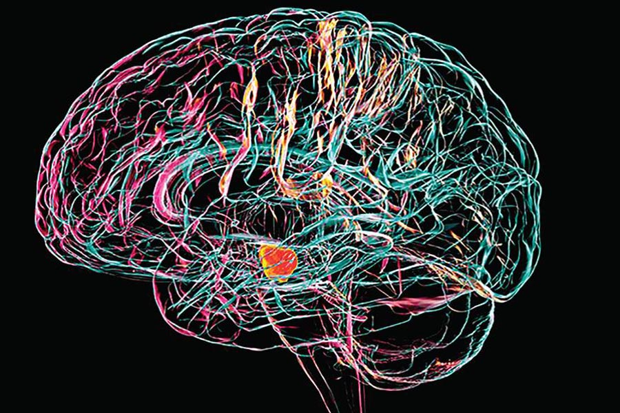 الباركنسون آخر العلاج الجراحة