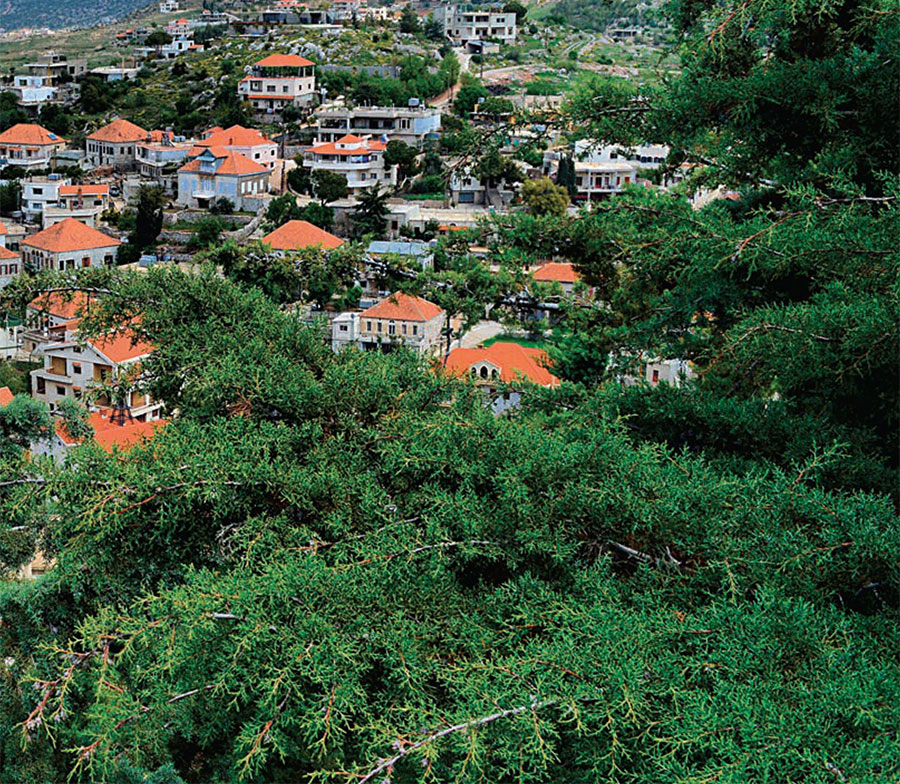 عروس وادي التيم