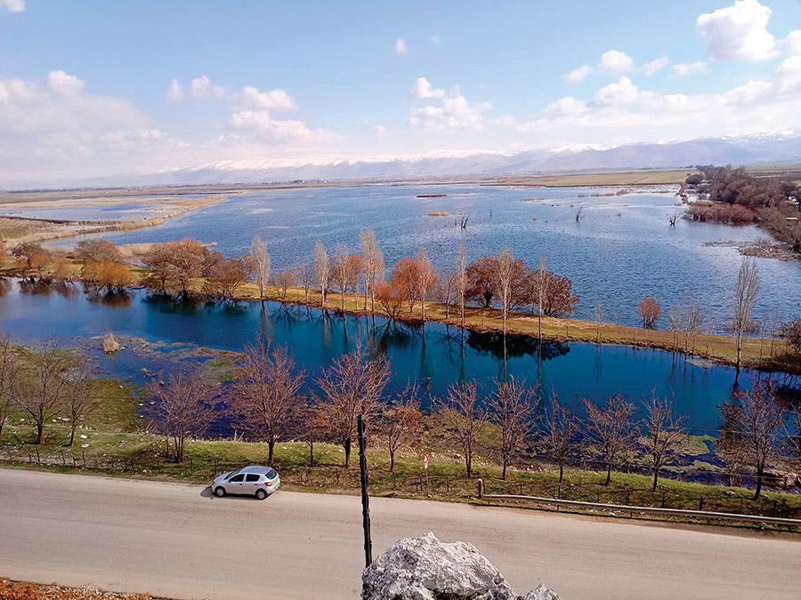 عمّيق في أيام الخريف حقول من ذهب
